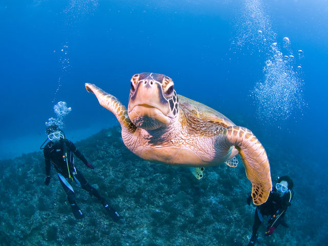 �t�����h���[�ȃE�~�K������_���v�����R�ē�