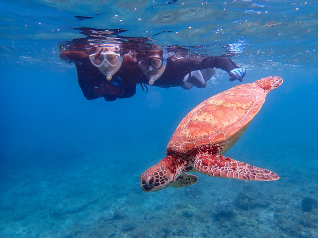 �E�~�K���Ƃ̋L�O�B�e���I_���v�����R�ē�