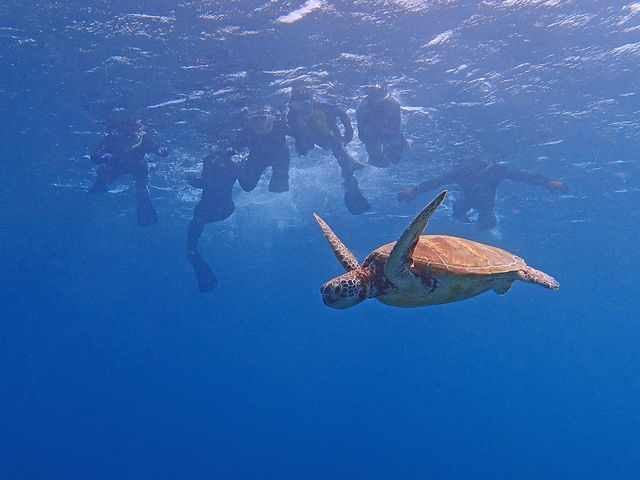 �݂�ȂŌ����E�~�K���͊y�����v���o�ɁB_���v�����R�ē�