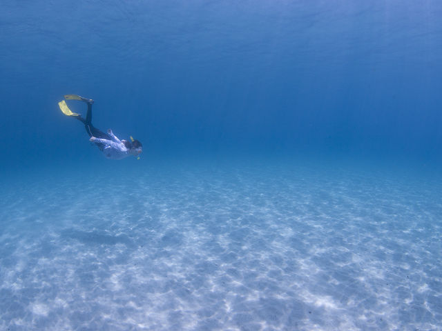 ���������v���̊C�I_���v�����R�ē�