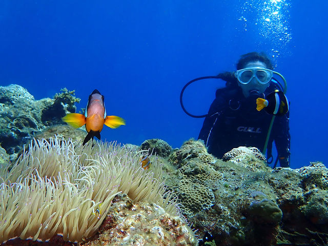 �N�}�m�~�͂����璆�Ɍ����܂���I_���v�����R�ē�