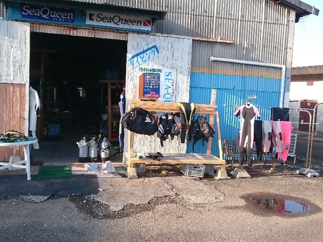 SeaQueen�싽�_�C�u�Z���^�[_�{��Sea Queen�_�C�u�Z���^�[