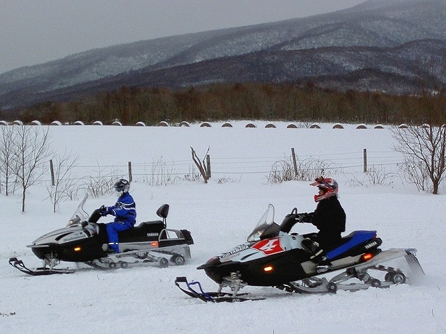 ��{���K��͒����A�㋉�R�[�X�Ńt���[���s���ł��܂��B_�o�ʃI�t���[�h�p�[�N