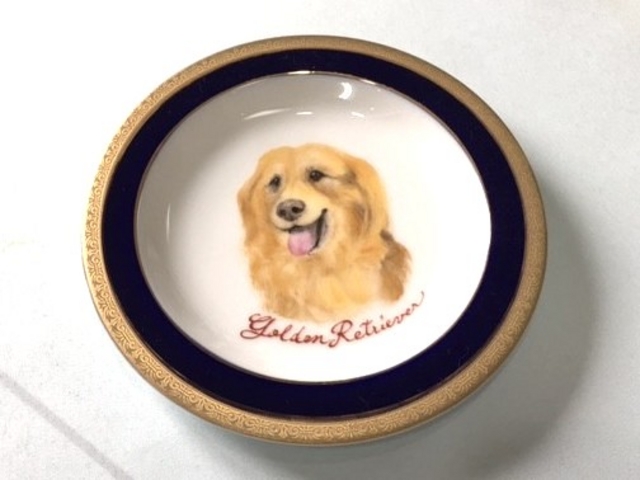 ybg̊GMɁ􂲎gŏ͂Aʐ^n΁Aut`グ܂B_HyCeBǑH[@ʔK