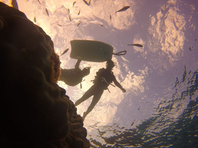 �I�[�V�����X�^�C��