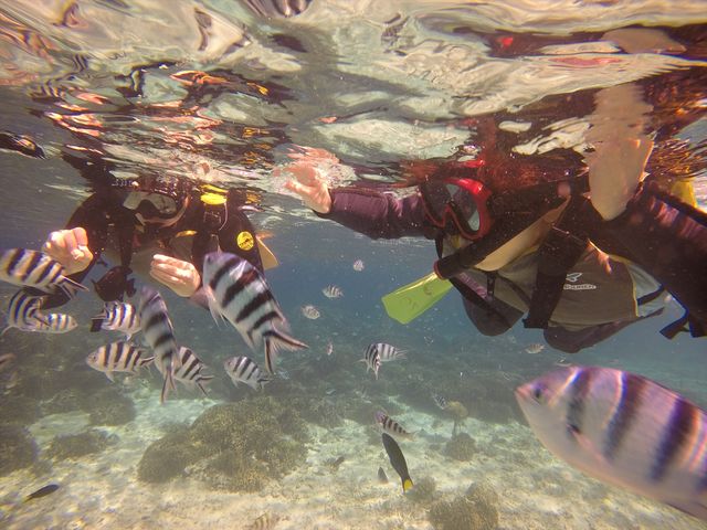 �I�[�V�����X�^�C��