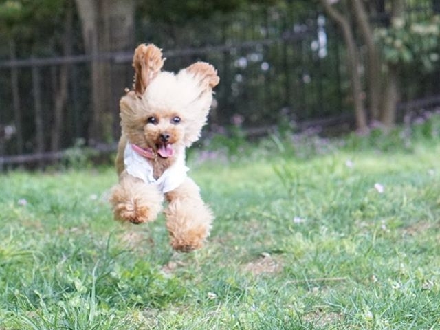 R̂ɂɖ쐶Ăъo܂H_ɓ@񂱂̐X