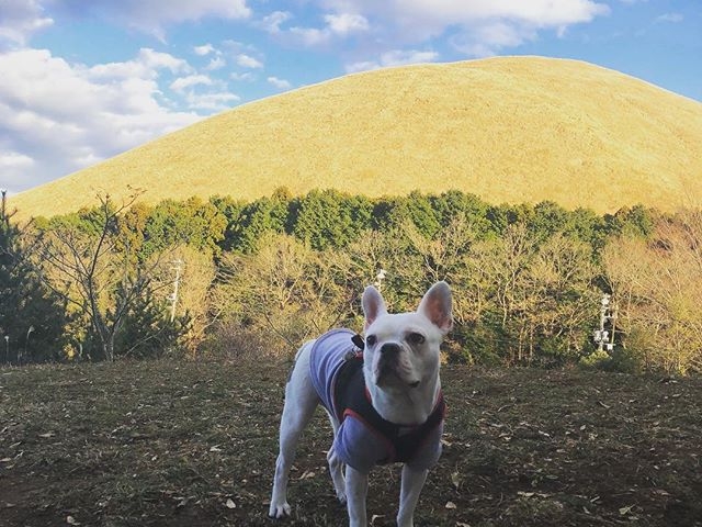 iőȂqƂ̕񍐂X_ɓ@񂱂̐X