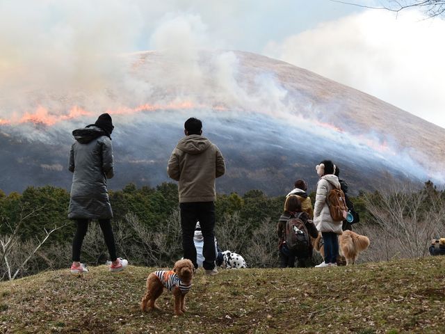 2ɂ͈ɓ̏t̕E厺RRĂhbO]_ɓ@񂱂̐X