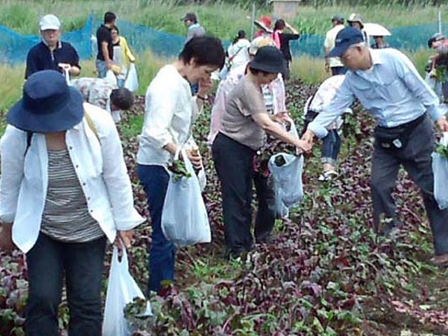 �r�[�c�̎��n�̌�_�x�m�R�K�[�f���t�@�[��