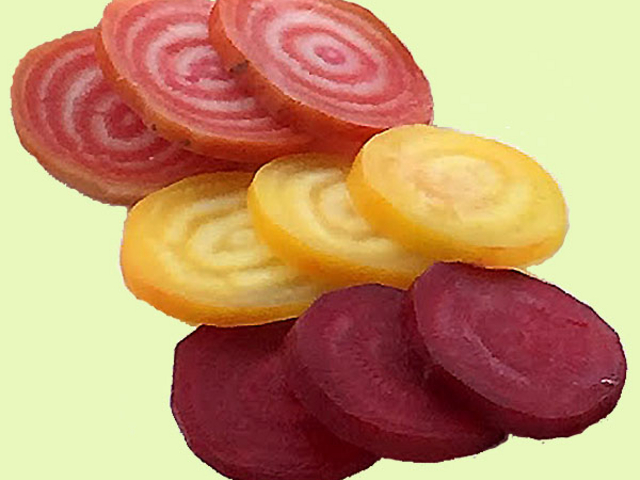 �ォ��Q���r�[�c�A�I�����W�r�[�c�A�ԃr�[�c_�x�m�R�K�[�f���t�@�[��