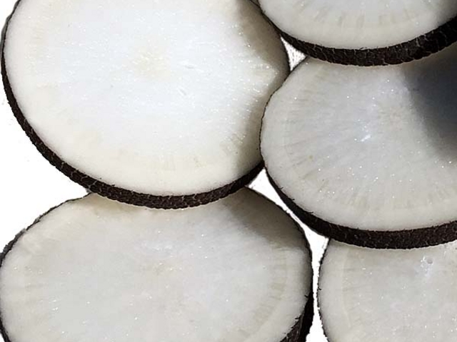 ���卪�̔��؂�
�T���_�ŐH�ׂ��܂��B_�x�m�R�K�[�f���t�@�[��