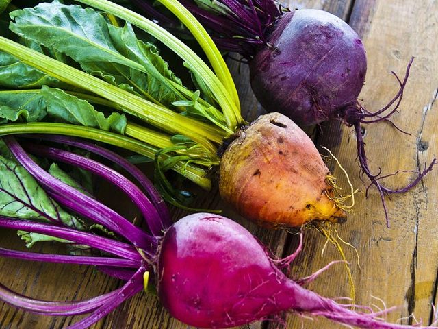 �R��ނ̃r�[�c_�x�m�R�K�[�f���t�@�[��