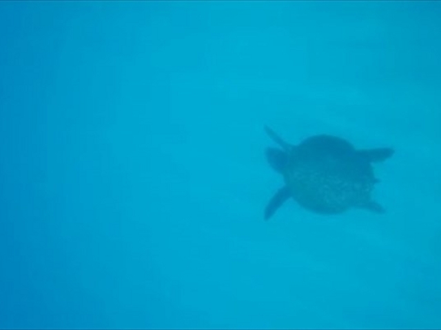 �m�u���b�N���v��