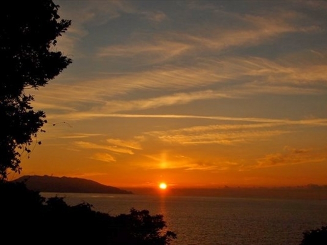 �m�u���b�N���v��