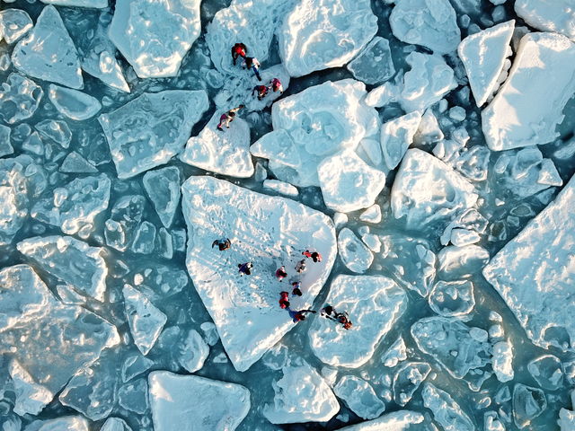 �l�X�Ȍ`�̗��X�B�����Ȃ��悤�C��t���Ȃ���A�ړ����܂��B��l���͂��Ⴂ�ł��܂��A�N�e�B�r�e�B�ł��I_�V�����iSHINRA�j