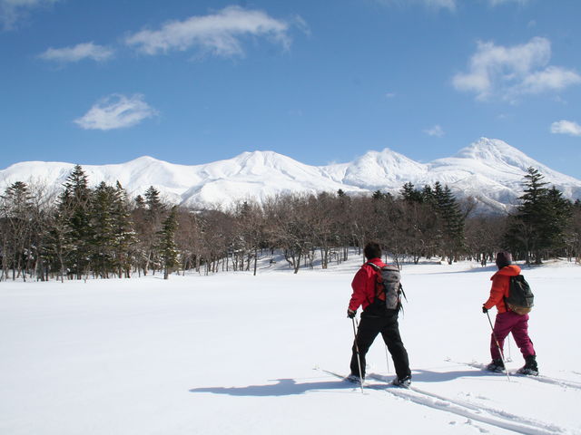 �Î�ɕ�܂��~�̒m���܌΁B�������΂̏���������A�ӂ�ӂ�̐�̏���������B�K�C�h�c�A�[�łȂ��ƍs�����Ƃ��ł��Ȃ��A�~�̒m���܌΂��y���݂܂��傤�I_�V�����iSHINRA�j