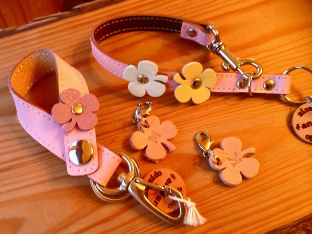 �v������@fanfun