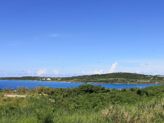 �������[���邿