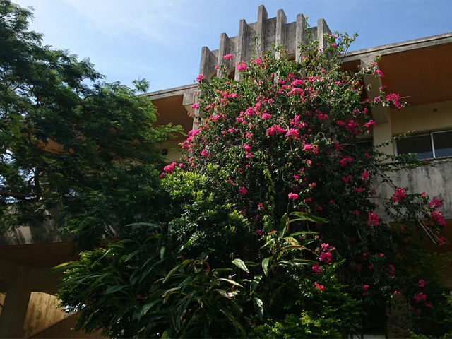 ���F�����i�p�Z�ɂȂ������w�Z��2�K�j_Botanica