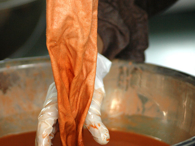 ���F���i_Botanica