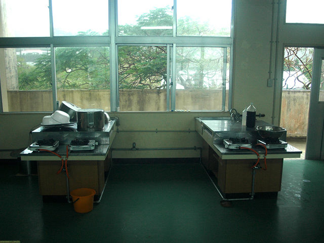 ���F���������i���ƒ�Ȏ��j_Botanica