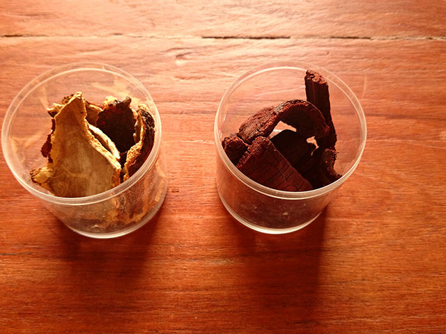 �����Ɏg�p����t�N�M�E�}���O���[�u_Botanica