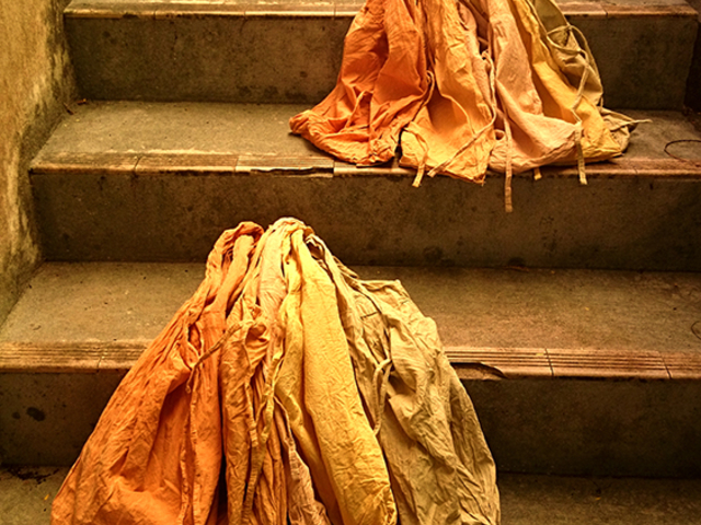 ���A�m�̓y�Ő��F�����G�R�o�b�O�@�Q�T�C�Y����I���ł��܂�_Botanica