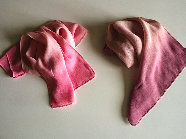 �R�`�j�[���Ő��F�����V���[���T���v��_Botanica