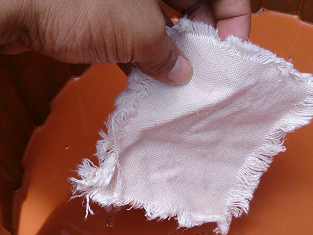 �R�[�X�^�[��y�Ő��F_Botanica