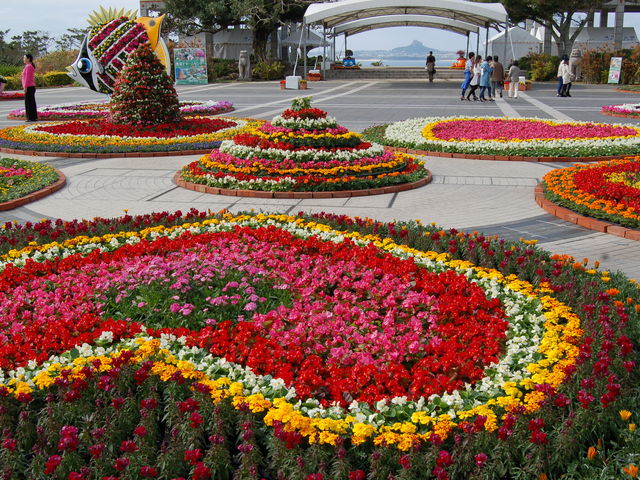 ���₩�ȉԁX�����o�}������~�̕������@�C�m�������Ԃ܂�_���΂���a