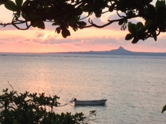 �[���̐�i�|�C���g���ē����܂��I�h�䂤���ǂ�c�A�[�h_���΂���a