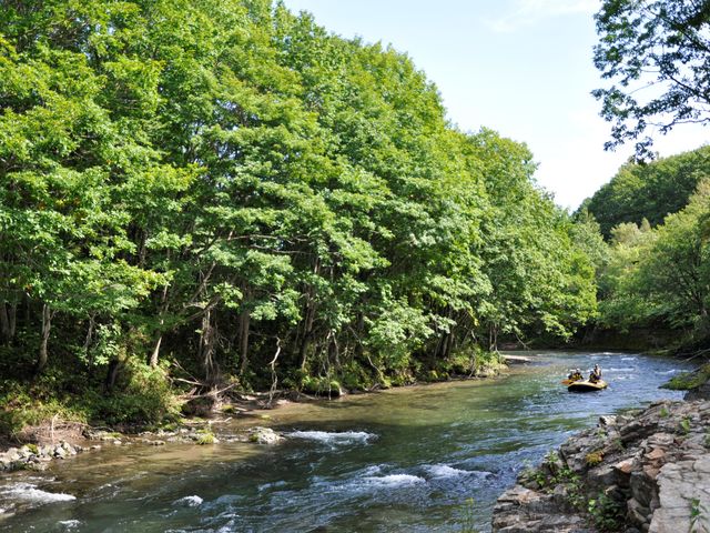 �y�V�[�\���v�`�색�t�e�B���O�z�����Y�킳�⎩�R�L���Ȍi�F���������|�C���g�̂P��@_�K�C�h���C���A�E�g�h�A�N���u