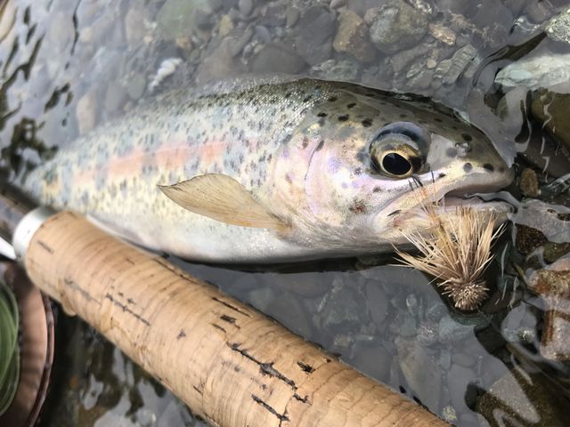 �y�x�ǖ�E�k���t���C�t�B�b�V���O�z�x�ǖ�̑厩�R�������Ȃ���A���Ƃ̋삯�������y�������B_�K�C�h���C���A�E�g�h�A�N���u