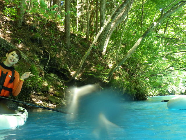 木々の中の非日常_グリーンディスカバリー 四万
