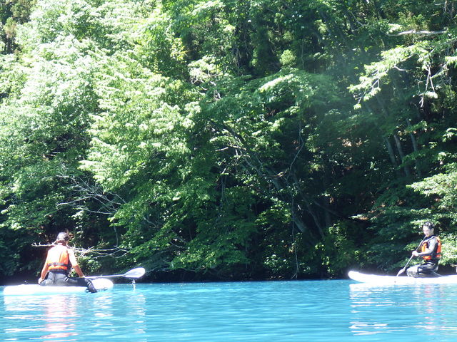 癒されながらのヨガ_グリーンディスカバリー 四万