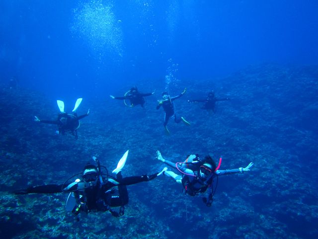 �������t���t��_NuNu Adventure Club