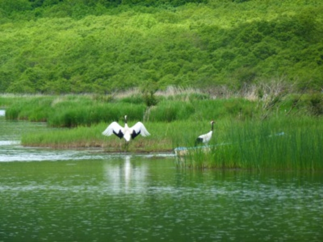 �J�k�[�v���̔��M�n�A�B�Õ��I�[�g�L�����v��ł̃^���`���E�ł�_������ЃJ�k�[�v��