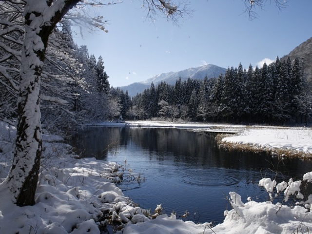 �~�v���O�����w�X�m�[�V���[�g���b�L���O�x_�g���^���싽���R�{�Z