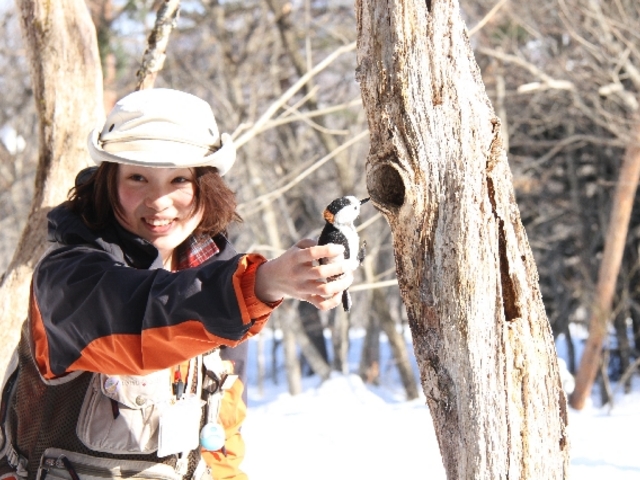 �g���^���싽���R�{�Z