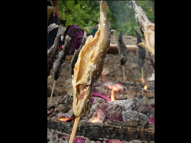 �ċx�݃v���O�����w��̍K�̃C���i�l��x_�g���^���싽���R�{�Z