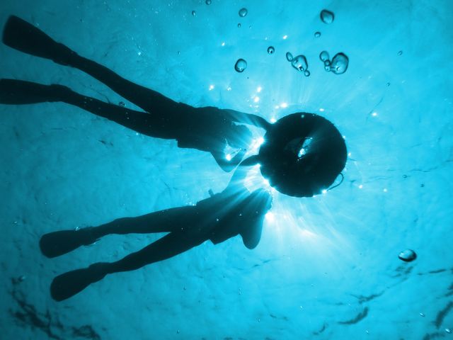 �_�C�u�h���S��