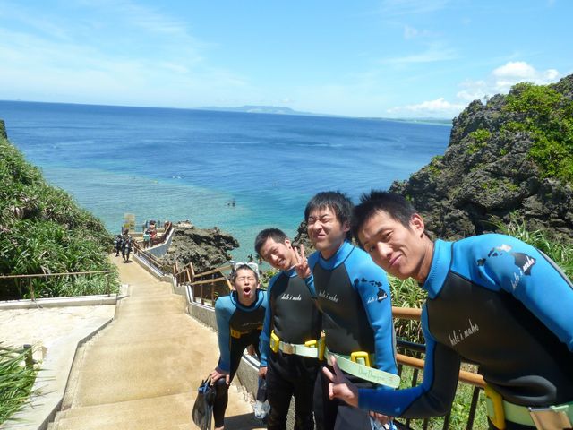 �_�C�u�h���S��