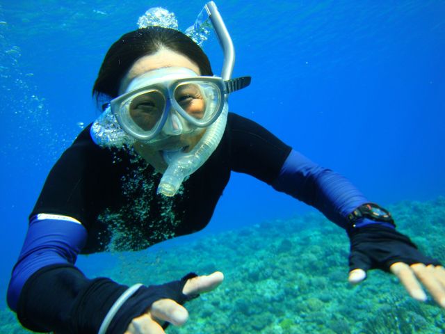 �_�C�u�h���S��