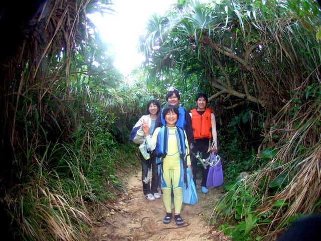 �_�C�u�h���S��