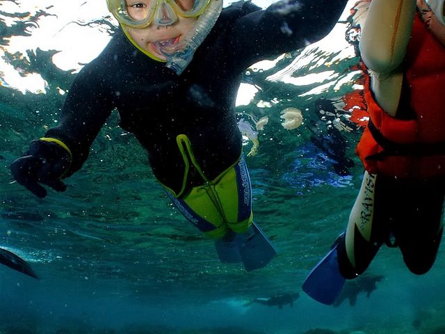 �_�C�u�h���S��