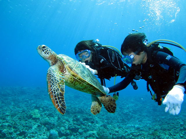 �����Ȃ��q�l�ł�10�΂��烉�C�Z���X�擾OK�I_Audrey Diving Service