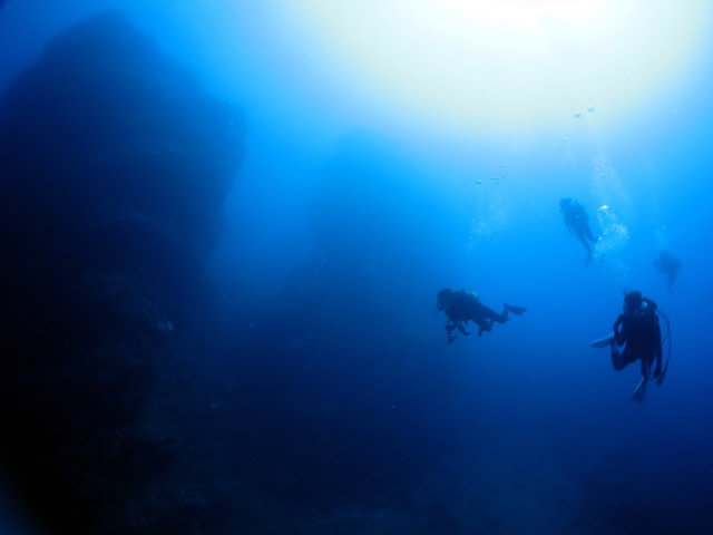 �����Ȋ�Ƒ��z�̑g�ݍ��킹�͖`���S����������܂��B_Audrey Diving Service