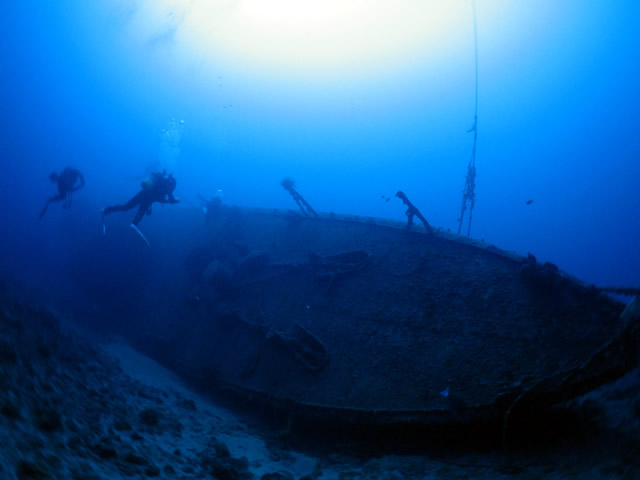 ����ɂ͗L���Ȓ����|�C���g���B�S��100���I�[�o�[�̋����͂ł��B_Audrey Diving Service