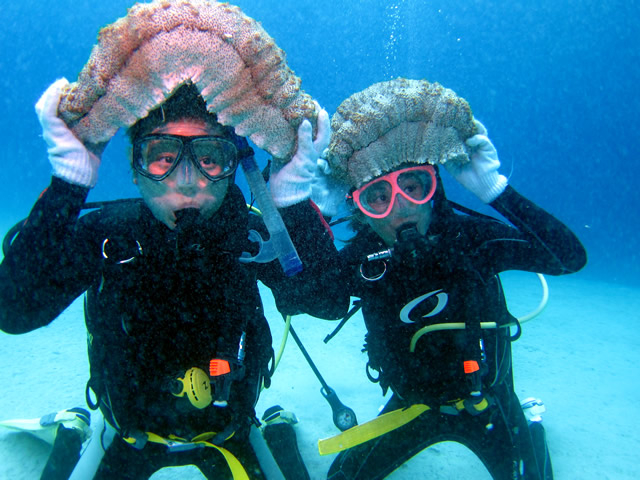 �r�M�i�[����x�e�����܂œO�ꂵ���`�[���Ґ��ŃX�g���X�Ȃ�����܂��B_Audrey Diving Service